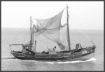 O.19 Norbert (bouwjaar 1926), author: Roger Corveleyn