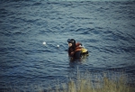 JPG file
