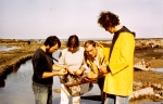 JPG file