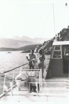 Wollast (1974)