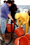 Schoonmaak bennen
