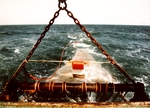 JPG file