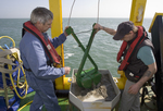 JPG file