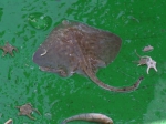 JPG file