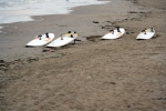 Surfplanken op het strand