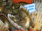 JPG file