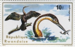Anhinga rufa