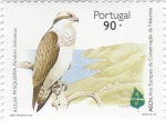 Pandion haliaetus
