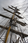 'Tall Ships Race'