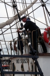 'Tall Ships Race'