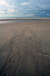 Sporen in het zand