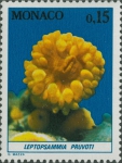 Leptopsammia pruvoti