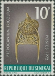 Pterocanium tricolpum