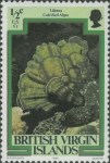Planten en wieren