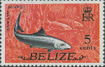 Albula vulpes