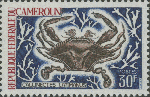 Callinectes latimanus