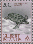 Chelonia mydas
