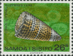 Conus litteratus