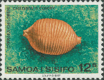 Cypraea childreni
