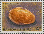Cypraea erosa