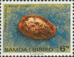 Cypraea helvola
