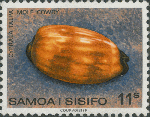 Cypraea talpa