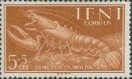 Homarus gammarus