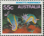Hypselodoris bennetti