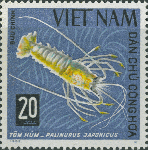 Palinurus japonicus