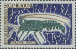 Panulirus regius