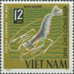 Penaeus indicus