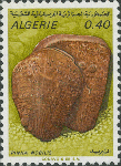 Pinna nobilis