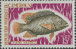 Tilapia nilotica