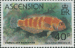 Xyrichtys blanchardi