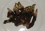 Eendemossel - Pollicipes elegans
