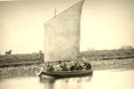 JPG file