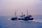 JPG file