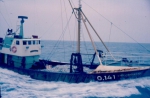 JPG file