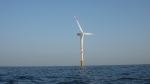 Artifici�le riffen Noordzee