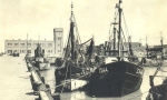 Z.544 Peter Pan (Bouwjaar 1954) en Z.480 Andr� (Bouwjaar 1943)