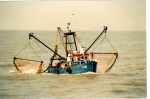 O.49 Steve (Bouwjaar 1982)