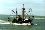 O.148 Snipe (Bouwjaar 1957), author: Onbekend [bent u de auteur? laat het ons weten]