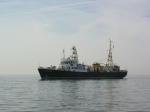 Zeeleeuw Thorntonbank