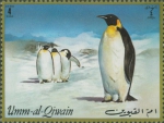 Aptenodytes forsteri