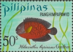 Centropyge bispinosa