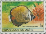 Chaetodon collare
