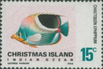 Chaetodon ephippium