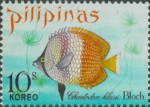 Chaetodon kleinii
