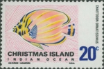 Chaetodon ornatissimus