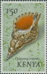 Charonia tritonis